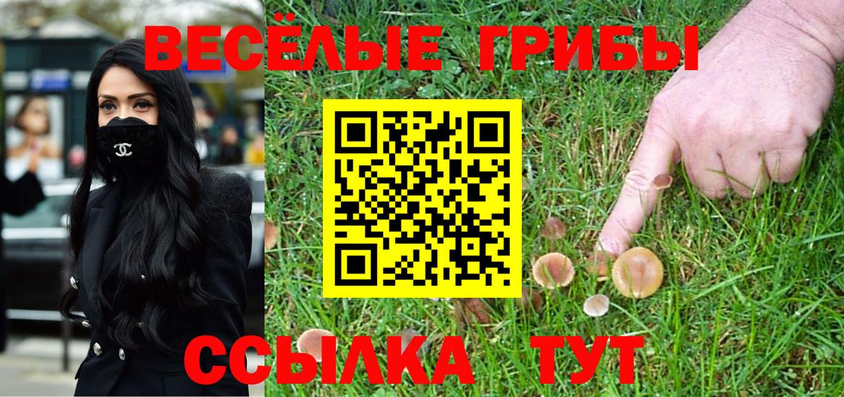 Галлюциногенные грибы Cubensis Красноярск