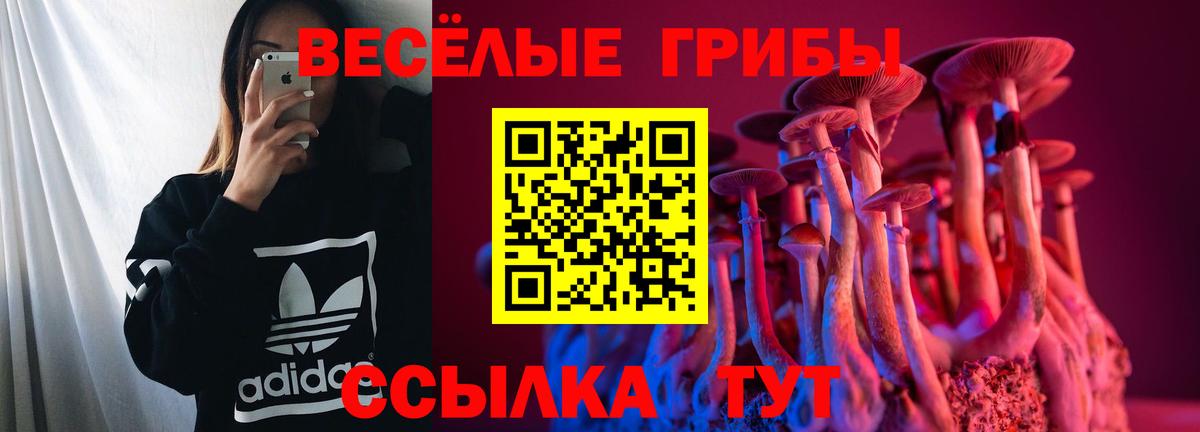 Красноярск  как найти закладки  Вход с VPN  Псилоцибиновые грибы мухоморы 